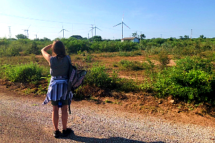 lepprt in front of windmills